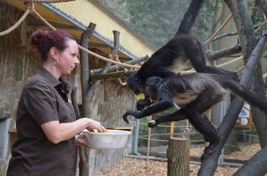 startujeme-zoo Děčín