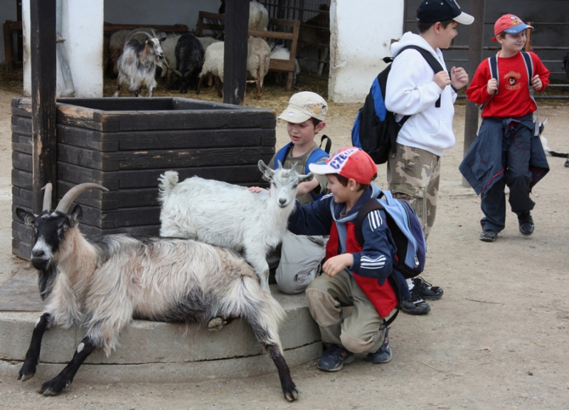 ZOO PARK, Vyškov